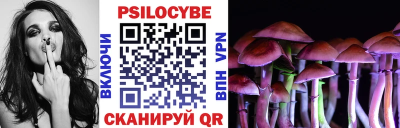 купить   Наволоки  Галлюциногенные грибы MAGIC MUSHROOMS 